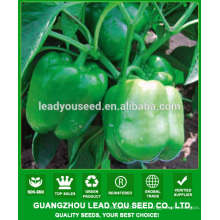 NSP15 Jiayou High yield sweet green pepper seeds